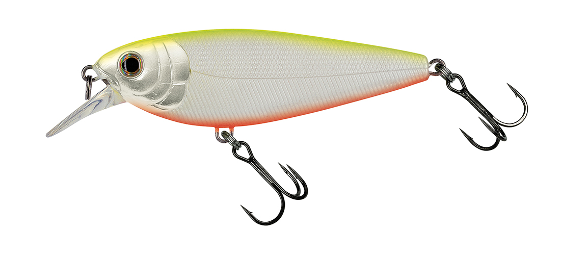 Molix Brugas Flying Chart