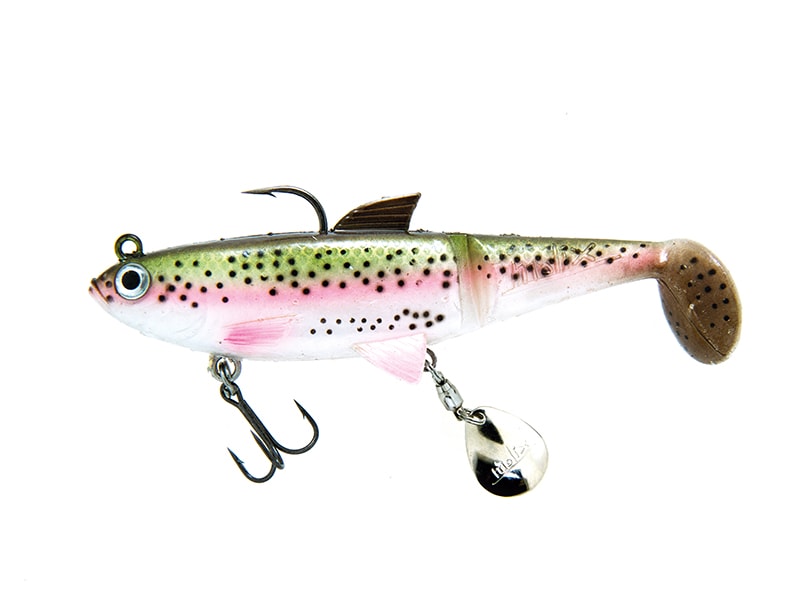 Molix Shad 100 - 24g Live Rainbow trout