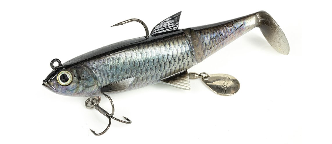 Molix Shad 140 - 60g Live Chub