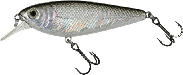 Molix Brugas Silver Bait