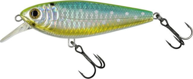 Molix Brugas Verde Tempesta