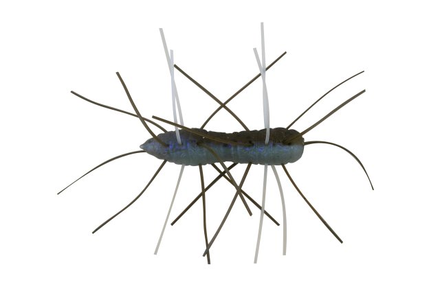 Z-Man Fuzzy BugZ 1.75" The Deal 4 Pack