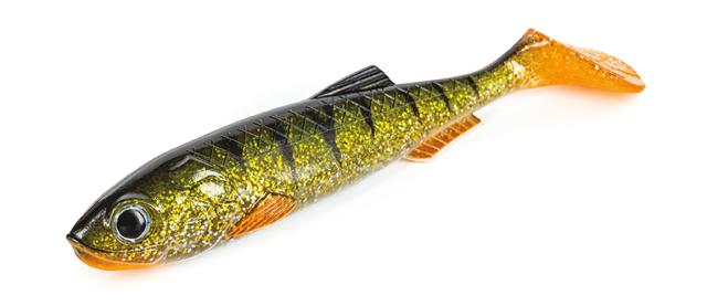 Molix RT Shad 5.5" BULK (24pcs) Paint UV Perch