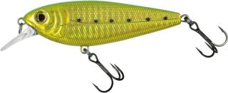 Molix Brugas Gold Sarda
