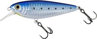Molix Brugas Blue Sarda