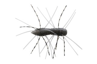 Z-Man Fuzzy BugZ 1.75
